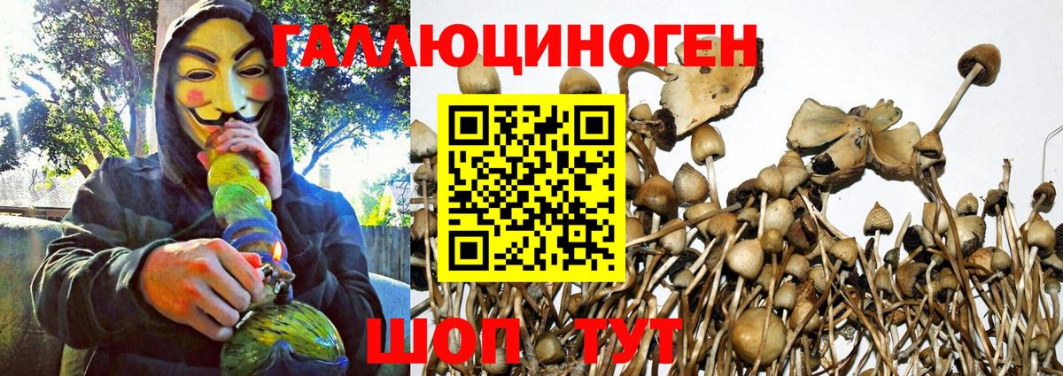 Людиново  Псилоцибиновые грибы прущие грибы  Вход с VPN 