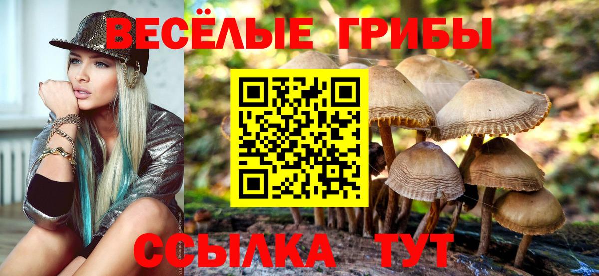 Галлюциногенные грибы Psilocybine cubensis Людиново